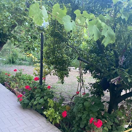 Willa Proprieta Intero Allogio Con Parcheggio Sestri Levante Zewnętrze zdjęcie